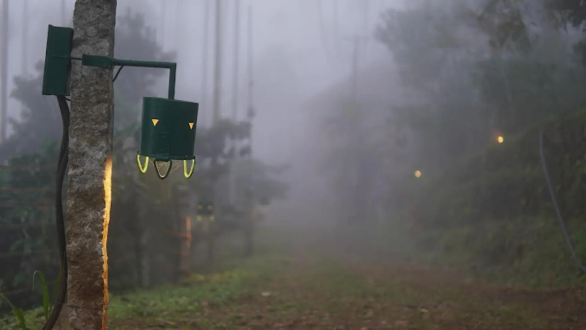 Rain Clouds Wayanad Forest Retreat - The Best Couple Friendly Private Cottages With Bathtub Resort