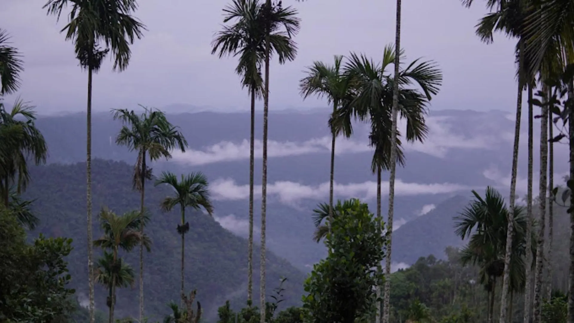 Resort Rain Clouds Wayanad Forest Retreat - The Best Couple Friendly Private Cottages With Bathtub