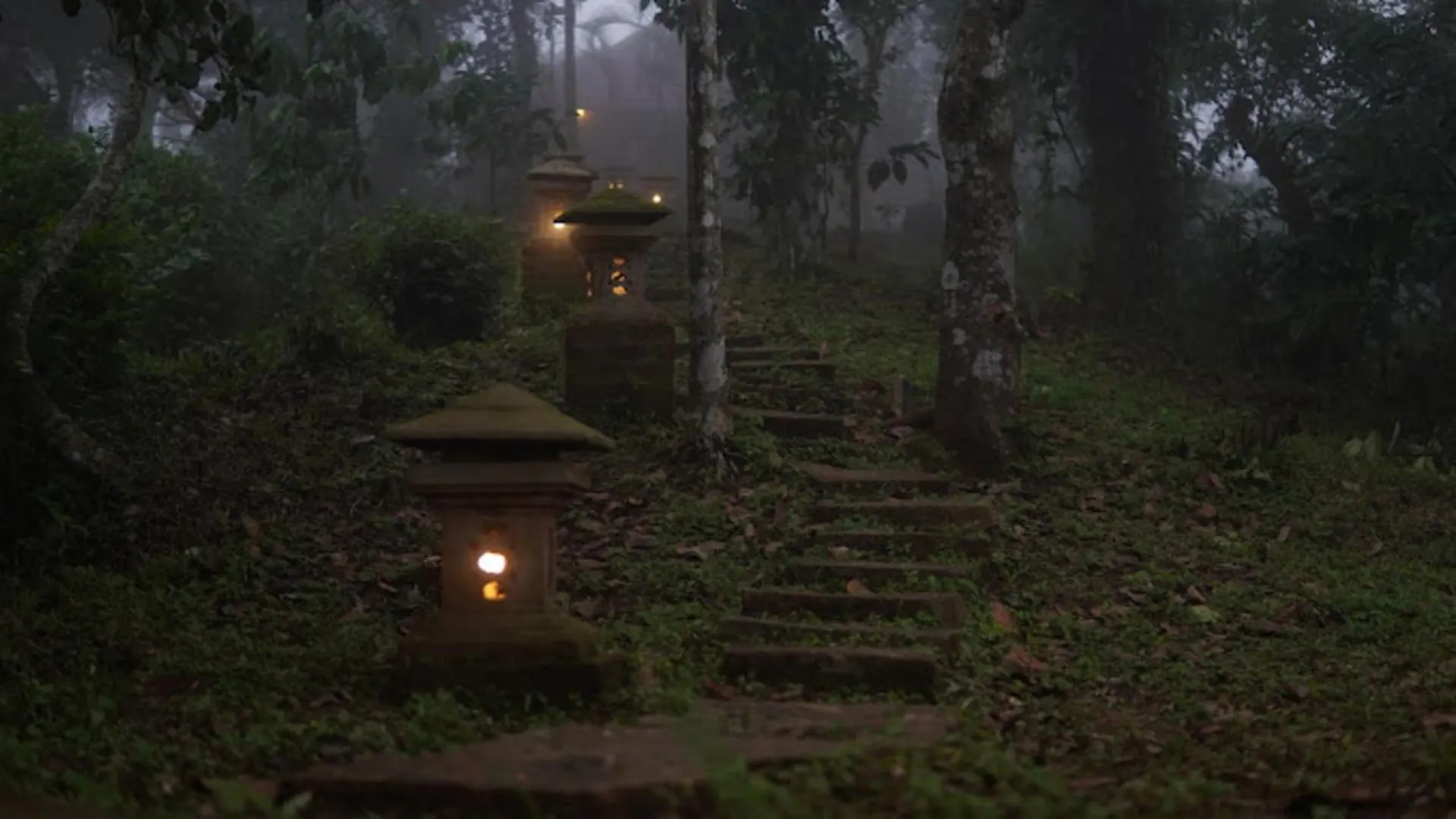 Rain Clouds Wayanad Forest Retreat - The Best Couple Friendly Private Cottages With Bathtub India