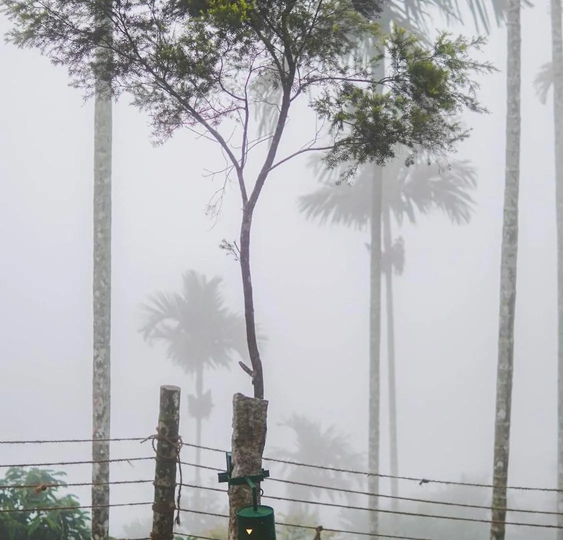 Rain Clouds Wayanad Forest Retreat - The Best Couple Friendly Private Cottages With Bathtub