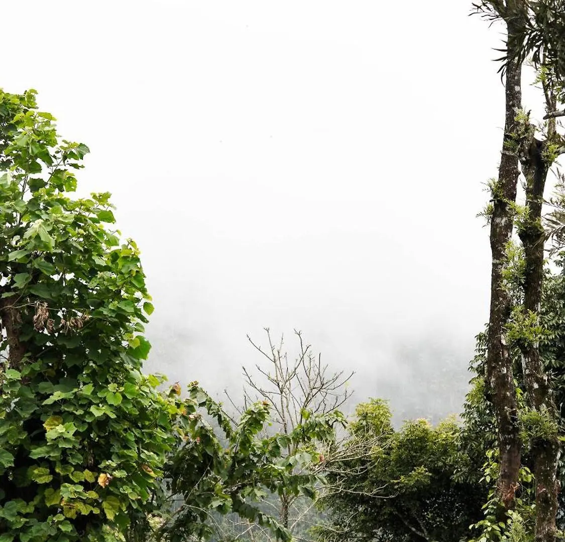 Rain Clouds Wayanad Forest Retreat - The Best Couple Friendly Private Cottages With Bathtub Resort