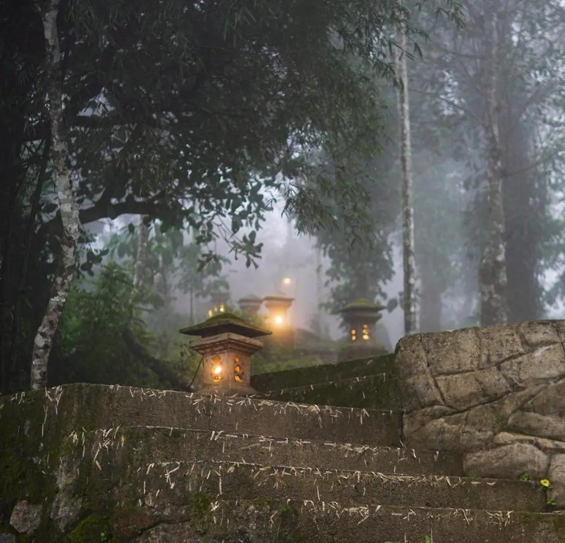 Rain Clouds Wayanad Forest Retreat - The Best Couple Friendly Private Cottages With Bathtub 0*,