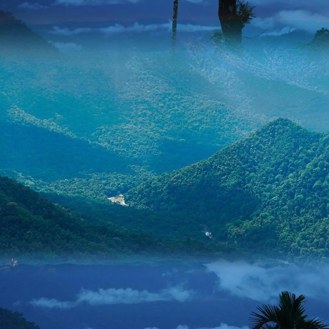 Resort Rain Clouds Wayanad Forest Retreat - The Best Couple Friendly Private Cottages With Bathtub
