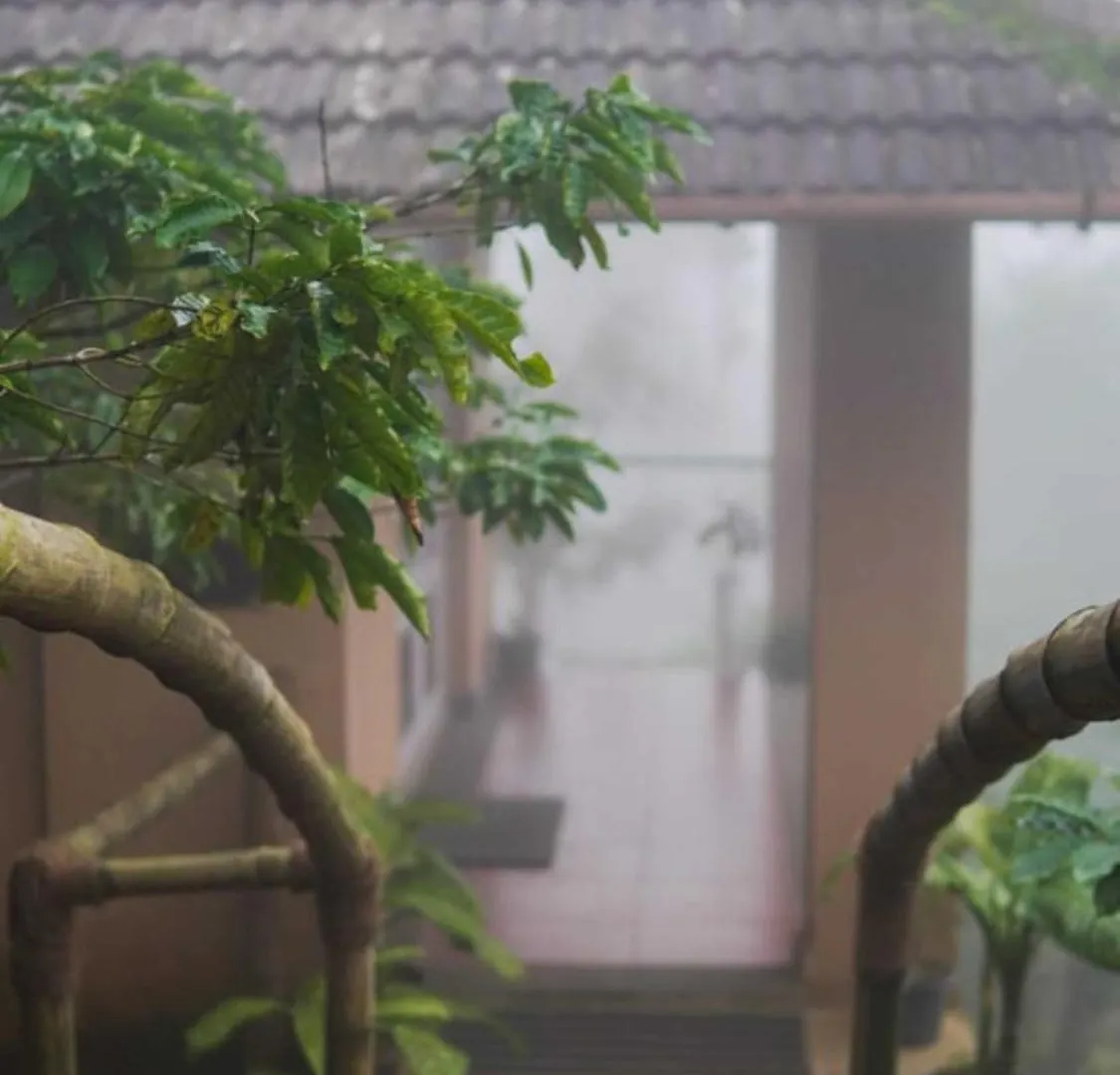 Rain Clouds Wayanad Forest Retreat - The Best Couple Friendly Private Cottages With Bathtub