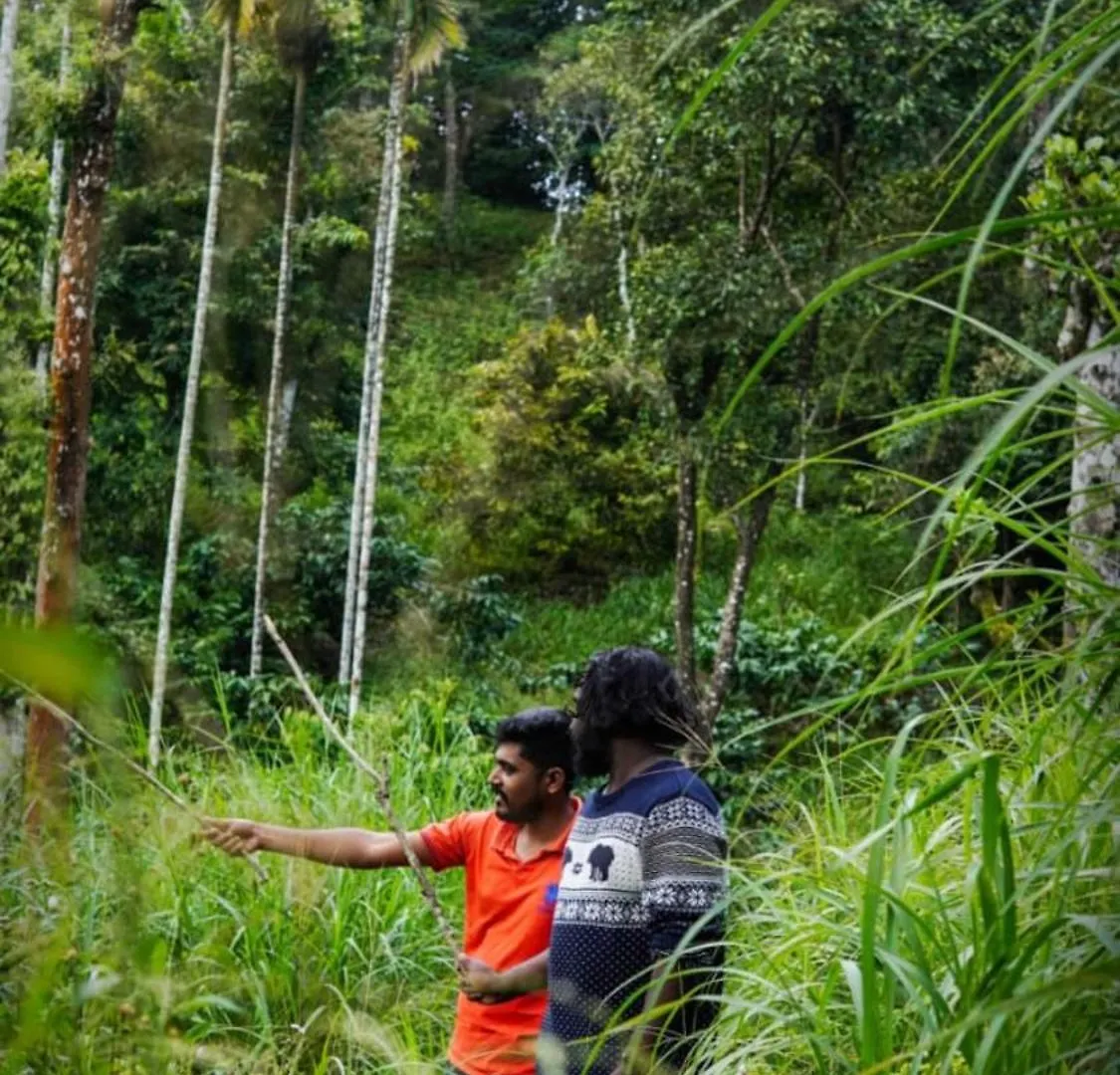 Rain Clouds Wayanad Forest Retreat - The Best Couple Friendly Private Cottages With Bathtub Resort